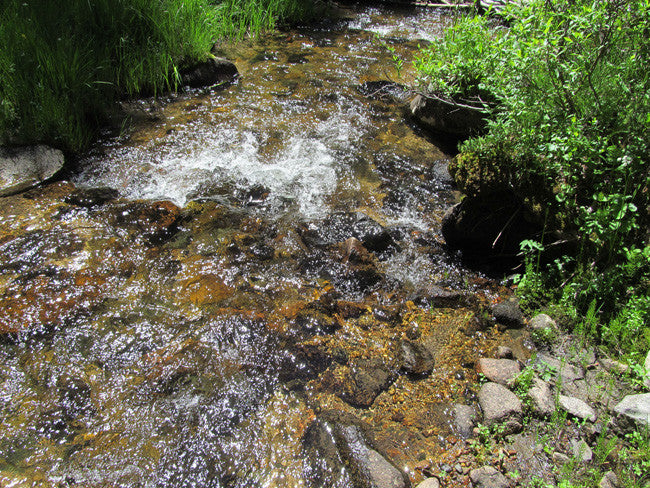 AURELIAN GOLD Placer Mining Claim, Gold Creek, Gunnison County, Colorado