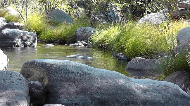 BLACK OAK Placer Mining Claim, Mineral King Mining District, Three Rivers, Tulare County, California