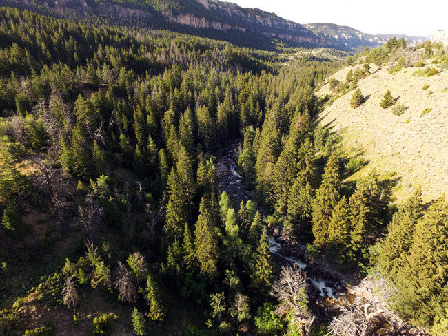 ADMIRAL GOLD Placer Mining Claim, Tensleep Creek, Washakie County, Wyoming