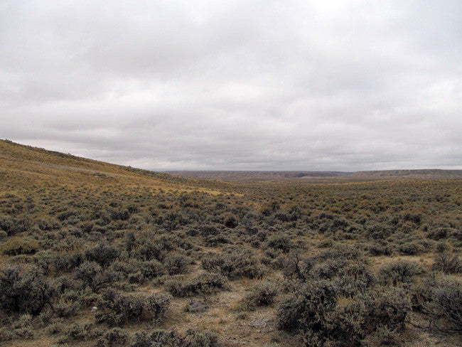 DUCK BONE JADE, Placer Mining Claim, Big Horn Jade, Fremont County, Wyoming