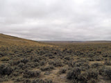 DUCK BONE JADE, Placer Mining Claim, Big Horn Jade, Fremont County, Wyoming