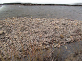 BETTY EYRE GOLD Placer Mining Claim, Dolores River, Dolores County, Colorado