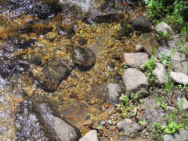 AURELIAN GOLD Placer Mining Claim, Gold Creek, Gunnison County, Colorado