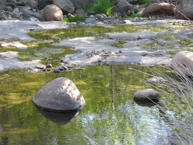 APLITE GOLD, Placer Mining Claim, Bear Creek, Grant County, New Mexico