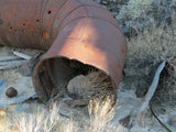 BEAR WALLOW Lode Mining Claim, Ivanpah, San Bernardino County, California