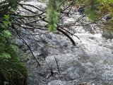 DIOR GOLD, Placer Mining Claim, N. Quartz Creek, Gunnison County, Colorado