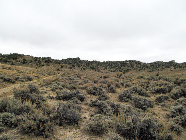 DUCK BONE JADE, Placer Mining Claim, Big Horn Jade, Fremont County, Wyoming