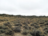 DUCK BONE JADE, Placer Mining Claim, Big Horn Jade, Fremont County, Wyoming
