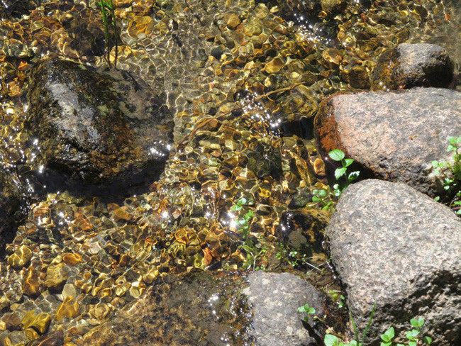 AURELIAN GOLD Placer Mining Claim, Gold Creek, Gunnison County, Colorado