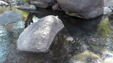 BLACK OAK Placer Mining Claim, Mineral King Mining District, Three Rivers, Tulare County, California