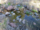 APLITE GOLD, Placer Mining Claim, Bear Creek, Grant County, New Mexico