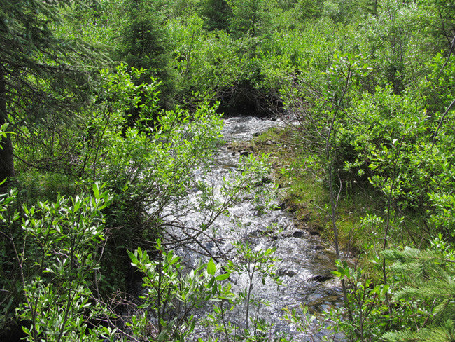 DIOR GOLD, Placer Mining Claim, N. Quartz Creek, Gunnison County, Colorado