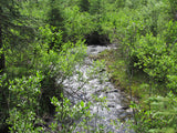 DIOR GOLD, Placer Mining Claim, N. Quartz Creek, Gunnison County, Colorado