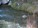 HARMONY MINE, Placer Claim, Pinto Creek, Washington County, Utah