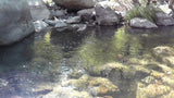 BLACK OAK Placer Mining Claim, Mineral King Mining District, Three Rivers, Tulare County, California