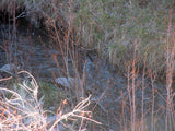 HARMONY MINE, Placer Claim, Pinto Creek, Washington County, Utah