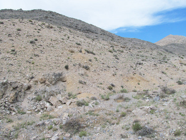 LEPRECHAUN GOLD MINE, Lode Mining Claim, Fallon, Churchill County, Nevada