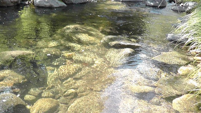 BLACK OAK Placer Mining Claim, Mineral King Mining District, Three Rivers, Tulare County, California