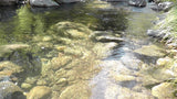 BLACK OAK Placer Mining Claim, Mineral King Mining District, Three Rivers, Tulare County, California
