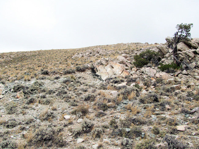 DUCK BONE JADE, Placer Mining Claim, Big Horn Jade, Fremont County, Wyoming