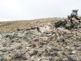 DUCK BONE JADE, Placer Mining Claim, Big Horn Jade, Fremont County, Wyoming