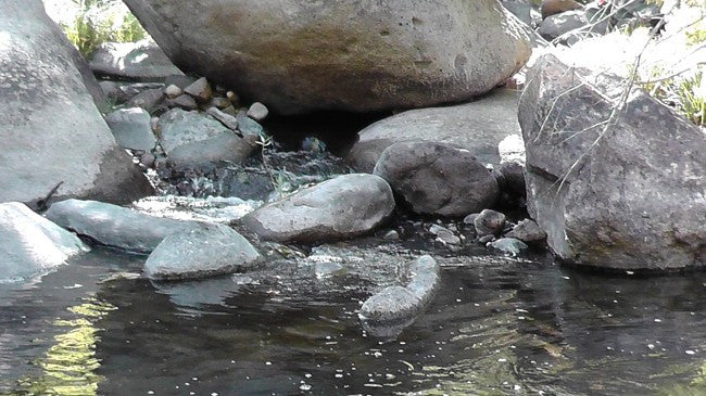 BLACK OAK Placer Mining Claim, Mineral King Mining District, Three Rivers, Tulare County, California