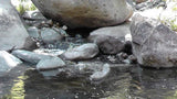 BLACK OAK Placer Mining Claim, Mineral King Mining District, Three Rivers, Tulare County, California