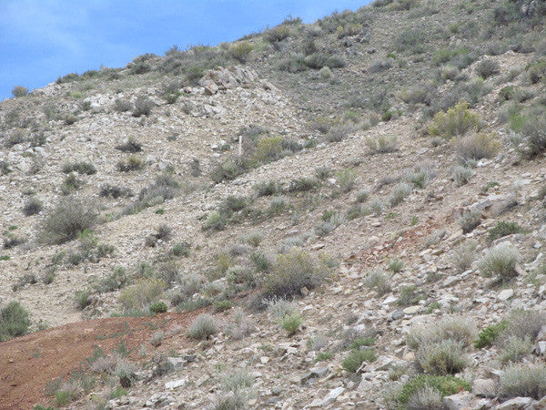 LEPRECHAUN GOLD MINE, Lode Mining Claim, Fallon, Churchill County, Nevada