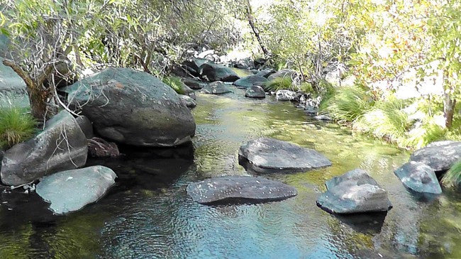 BLACK OAK Placer Mining Claim, Mineral King Mining District, Three Rivers, Tulare County, California