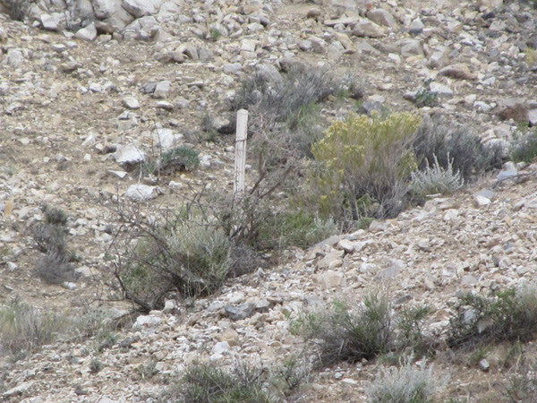 LEPRECHAUN GOLD MINE, Lode Mining Claim, Fallon, Churchill County, Nevada