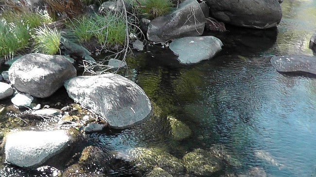 BLACK OAK Placer Mining Claim, Mineral King Mining District, Three Rivers, Tulare County, California
