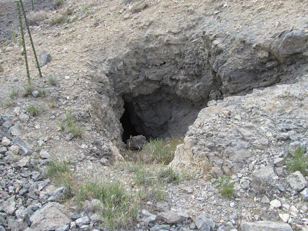 LEPRECHAUN GOLD MINE, Lode Mining Claim, Fallon, Churchill County, Nevada