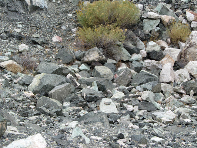 DUCK BONE JADE, Placer Mining Claim, Big Horn Jade, Fremont County, Wyoming