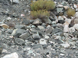 DUCK BONE JADE, Placer Mining Claim, Big Horn Jade, Fremont County, Wyoming