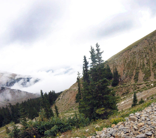 GREY EAGLE MINE Lode Mining Claim, Mount White, Chaffee County, Colorado