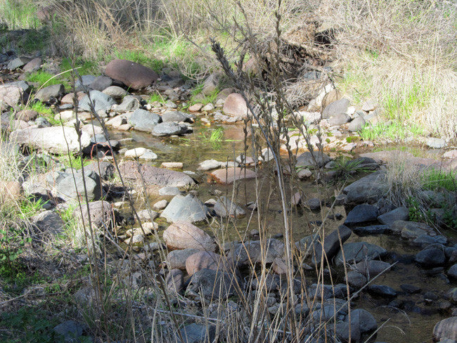 APLITE GOLD, Placer Mining Claim, Bear Creek, Grant County, New Mexico