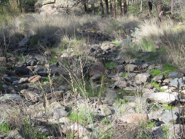 APLITE GOLD, Placer Mining Claim, Bear Creek, Grant County, New Mexico