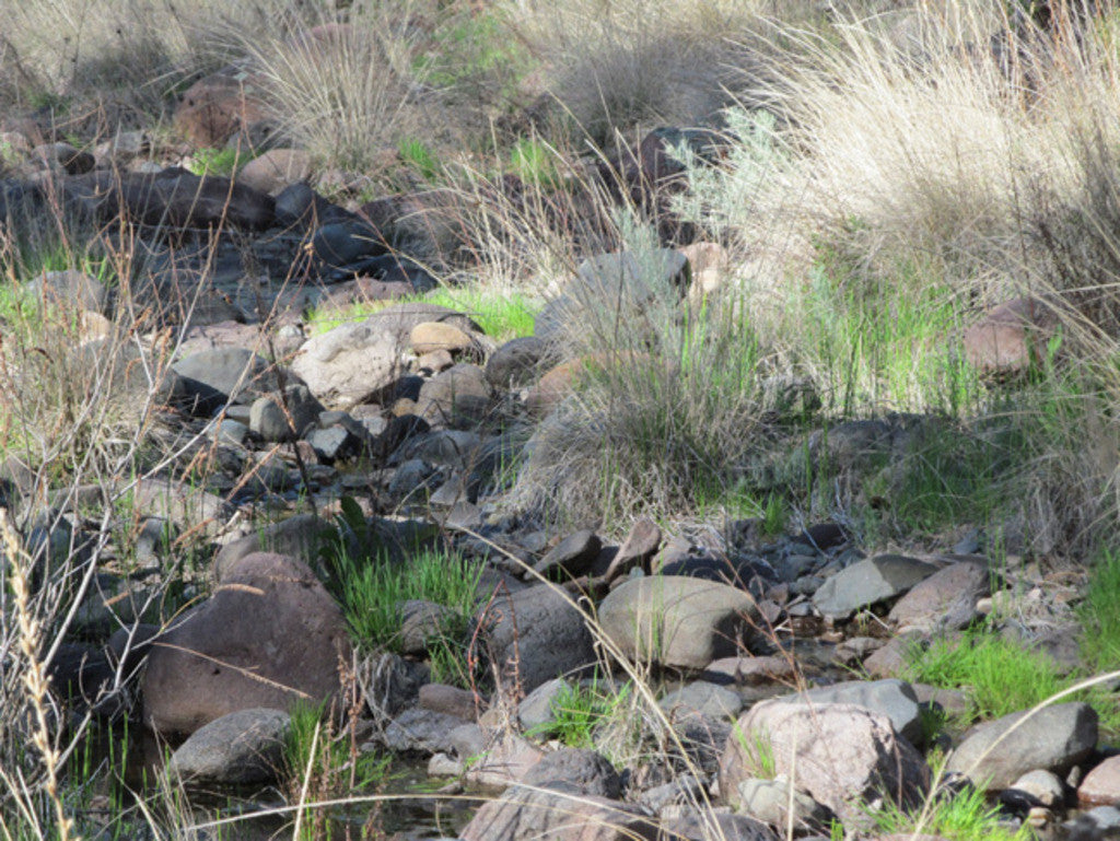 APLITE GOLD, Placer Mining Claim, Bear Creek, Grant County, New Mexico