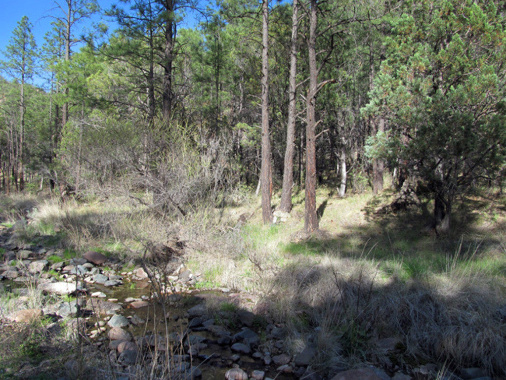 APLITE GOLD, Placer Mining Claim, Bear Creek, Grant County, New Mexico