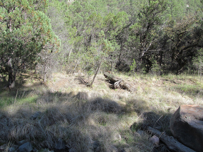 APLITE GOLD, Placer Mining Claim, Bear Creek, Grant County, New Mexico