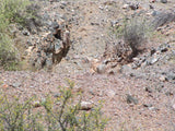 GREY BEARDS Lode Mining Claim, Aguila, Maricopa County, Arizona