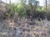 APLITE GOLD, Placer Mining Claim, Bear Creek, Grant County, New Mexico