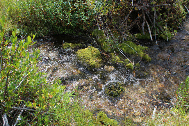 CORKY GOLD Placer Mining Claim, Trout Creek, Beaverhead County, Montana