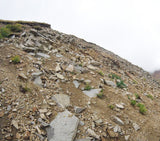 GREY EAGLE MINE Lode Mining Claim, Mount White, Chaffee County, Colorado