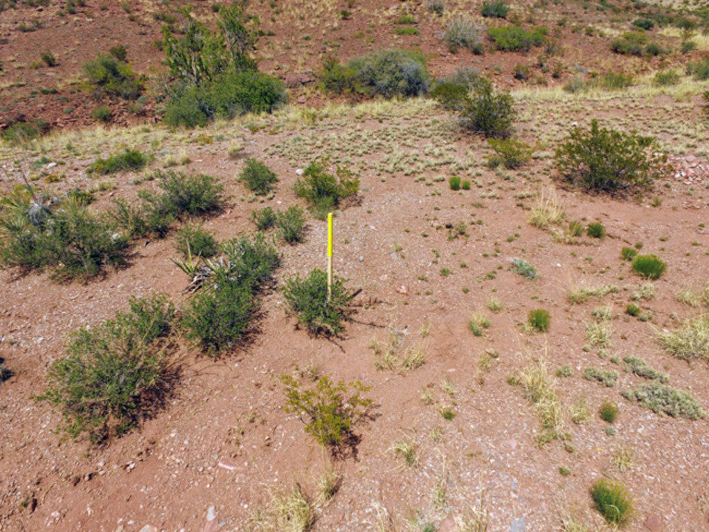 BRAMBLE FLUORITE Placer Mining Claim, Hansonburg District, Socorro County, New Mexico