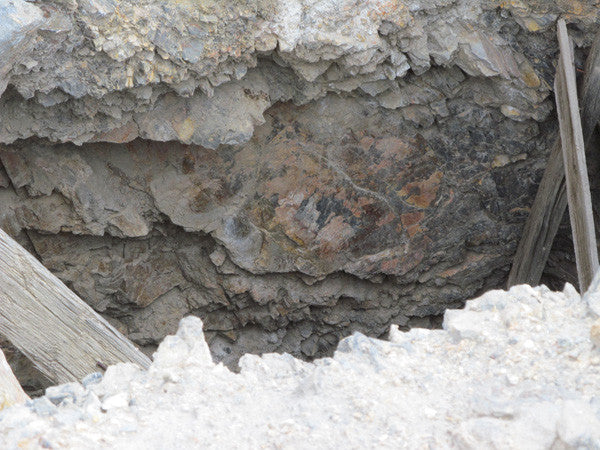 LEPRECHAUN GOLD MINE, Lode Mining Claim, Fallon, Churchill County, Nevada
