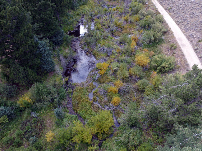 BONNIES GOLD Placer Mining Claim, Thief Creek, Beaverhead County, Montana