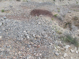 LEPRECHAUN GOLD MINE, Lode Mining Claim, Fallon, Churchill County, Nevada