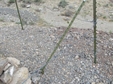 LEPRECHAUN GOLD MINE, Lode Mining Claim, Fallon, Churchill County, Nevada