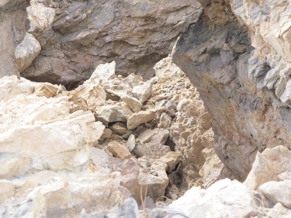 LEPRECHAUN GOLD MINE, Lode Mining Claim, Fallon, Churchill County, Nevada